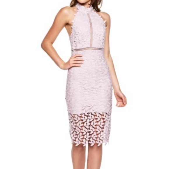 Bardot Dresses & Skirts - Bardot Gemma Halter Lace Sheath Dress NWT, Orchard